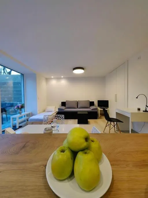 Haas Apartments Slepa, City Centre, Parking, Courtyard Brno Czech Republic